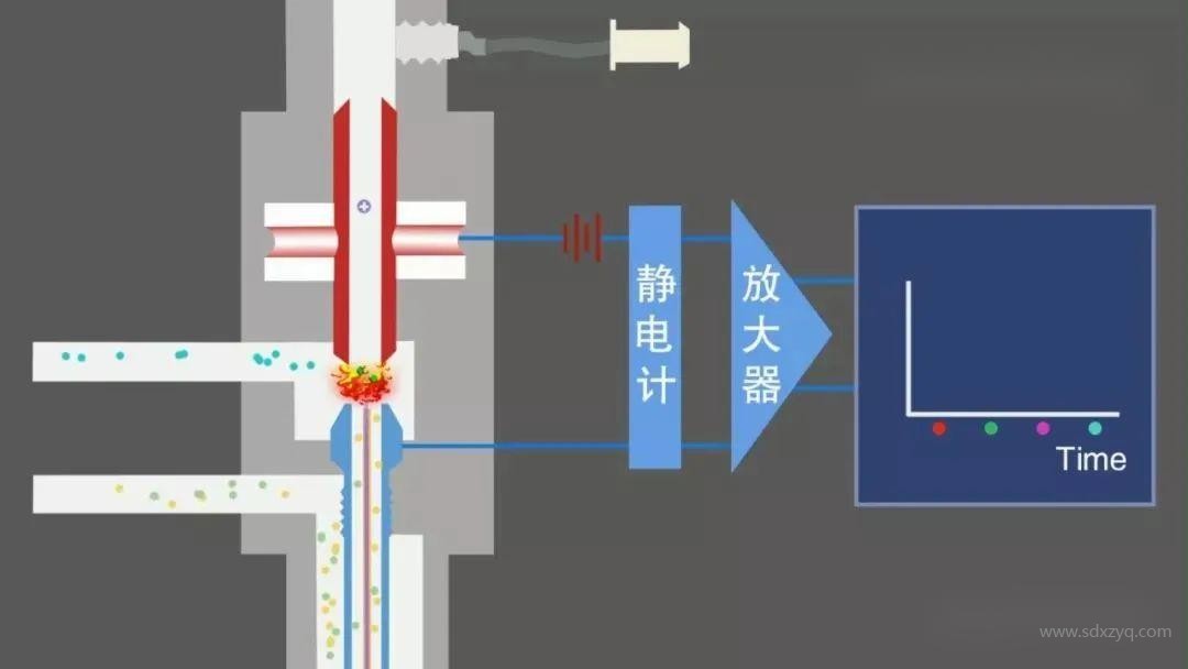 1713843502461768.jpg 6.jpg